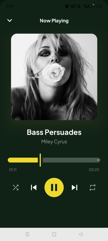 SpotSaver Offline Music Player Android App Interface